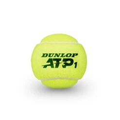 Dunlop Tennisbälle ATP (Nitto ATP Finals) - Dose 24x3er Im Karton -Wilson Huston Geschaft Dunlop 601313 atp20official20ball 2 1024x1024 2