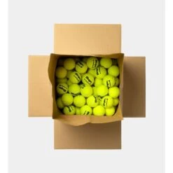 Dunlop Tennisbälle Fort Xtra Life (drucklos, Speziell Für Ballmaschine) - 72 Stück -Wilson Huston Geschaft Dunlop 602798 FORT XTRA LIFE 72BOX SLINGER Ball 2 880x880 1