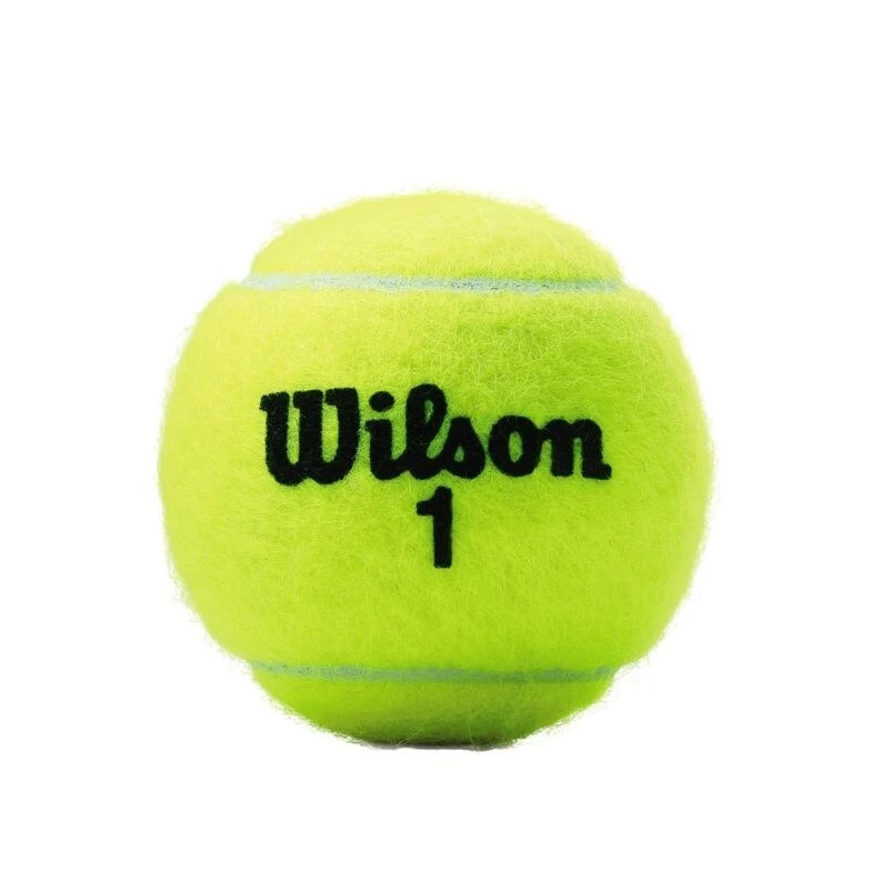 Wilson Tennisbälle Championship Dose 24x 3er Im Karton 4 Wilson Tennisbälle Championship Dose 24x 3er Im Karton – Bild 2