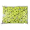 Yonex Tennisbälle Training (drucklos) Gelb 60er Im Polybag -Wilson Huston Geschaft Yonex TRAINING TENNIS BALLBall202 1200x1200 1