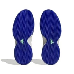 ADIDAS PERFORMANCE Adidas Tennisschuhe Barricade Clay/Sandplatz (Stabil) 2023 Weiss/blau/violett Damen -Wilson Huston Geschaft adidas HQ8428 Barricade Clay Tennisschuh203 1200x1200 1