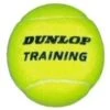 Dunlop Tennisball Training (drucklos) Gelb - 1 Ball -Wilson Huston Geschaft dunloptraininggelb 220x220 1